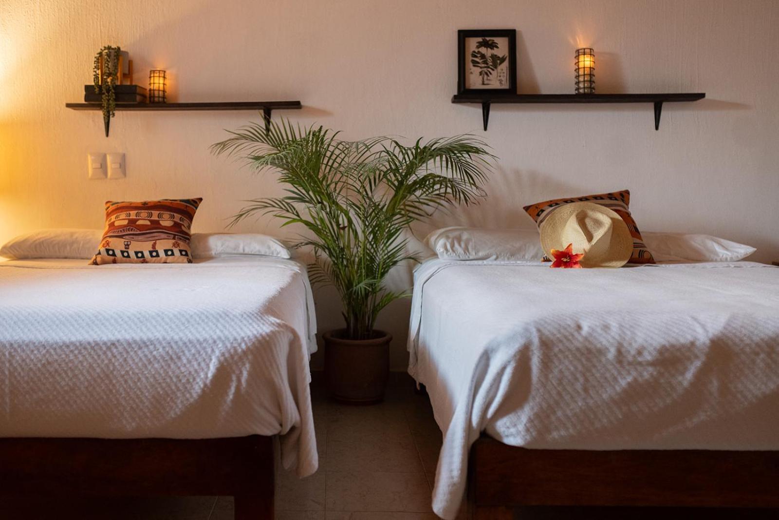 Casa Botanica Hotel โลเดมาร์กอส ภายนอก รูปภาพ