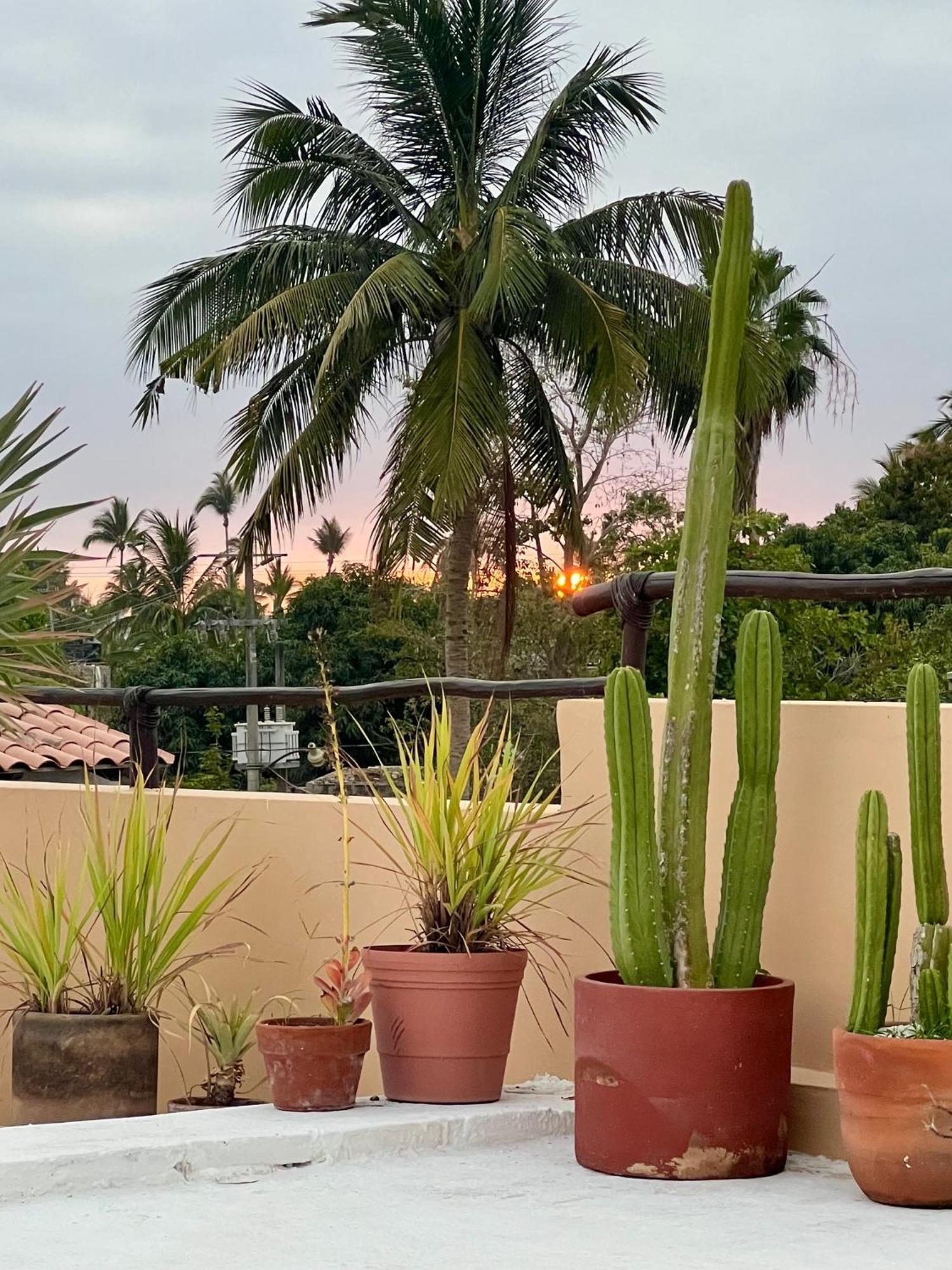 Casa Botanica Hotel โลเดมาร์กอส ภายนอก รูปภาพ
