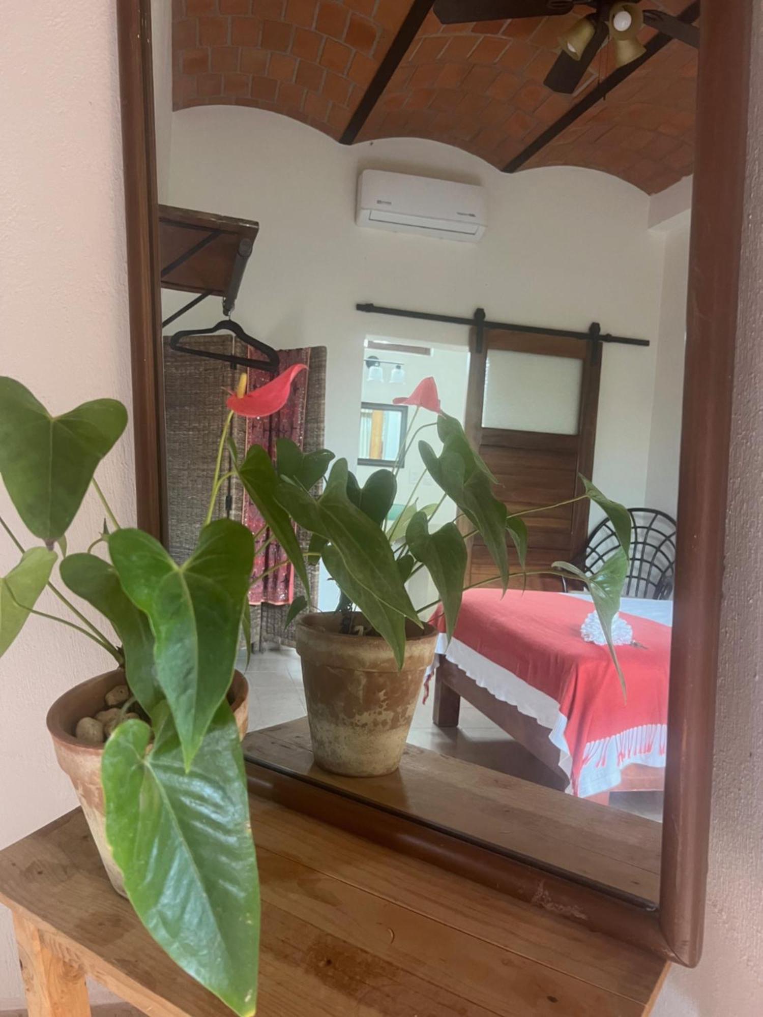 Casa Botanica Hotel โลเดมาร์กอส ภายนอก รูปภาพ