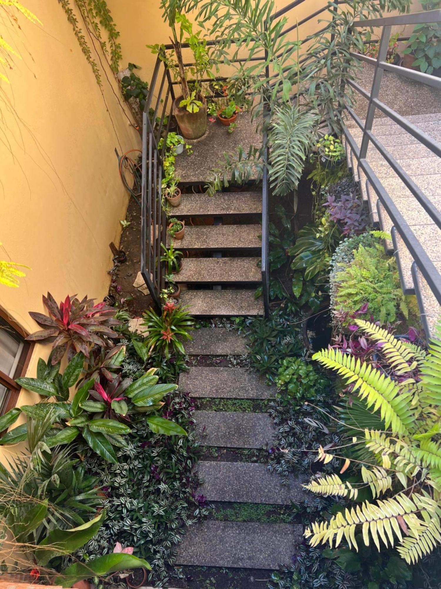 Casa Botanica Hotel โลเดมาร์กอส ภายนอก รูปภาพ