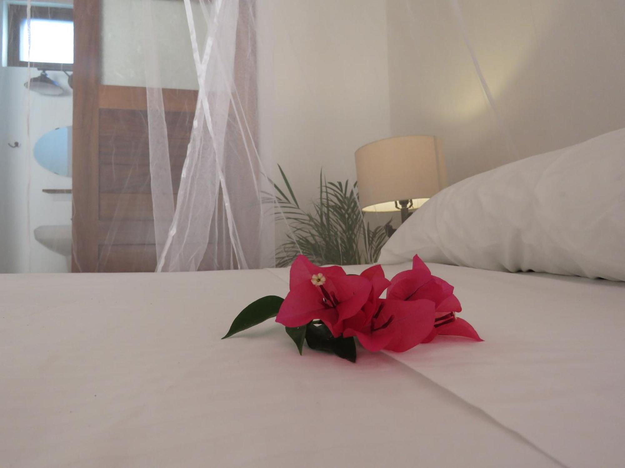 Casa Botanica Hotel โลเดมาร์กอส ภายนอก รูปภาพ
